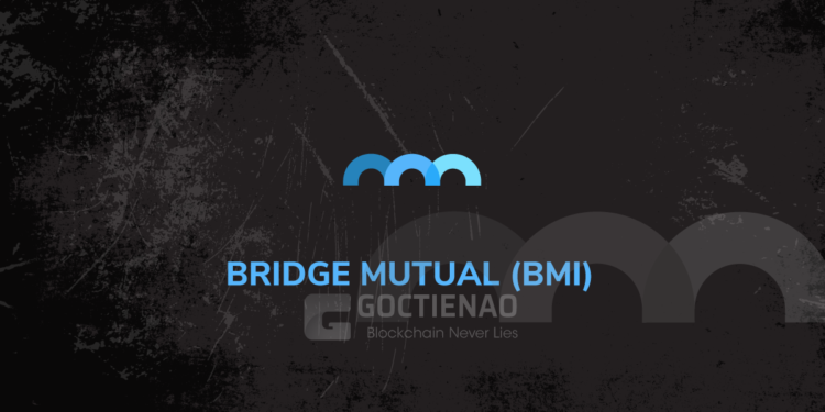 Kiến thức – Bridge Mutual (BMI) là gì? Tiềm năng đầu tư của dự án Bridge Mutual và BMI token