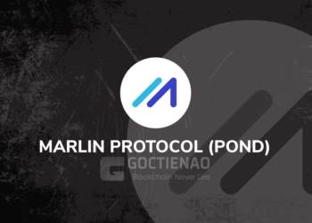 Kiến thức – Marlin (POND) là gì? Tất cả thông tin về dự án Marlin