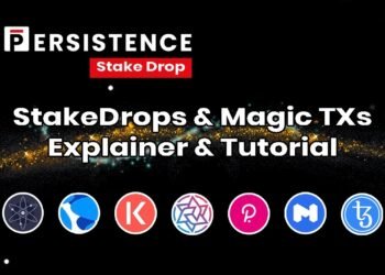 Kiến thức – Persistence (XPRT) là gì? Điểm nổi bật của Persistence (XPRT), Toàn tập về đồng tiền điện tử XPRT