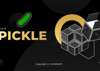 Kiến thức – Pickle Finance là gì? Cơn sốt DeFi mới tăng 1.000% trong một ngày, Toàn tập về đồng tiền điện tử PICKLE