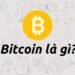 Kiến thức – Tính hợp pháp của Bitcoin tại Việt Nam và trên thế giới