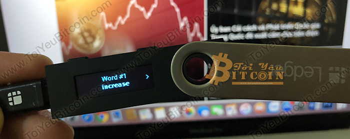 Cách cài đặt ví Ledger Nano S. Ảnh 10