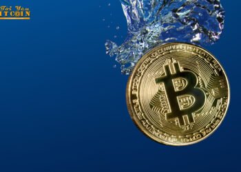 Tin tức coin – Bitcoin đã kết thúc giai đoạn lập đáy, đây là thời điểm tuyệt vời để đầu tư?