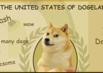 Kiến thức – Dogecoin là gì? Hướng dẫn chi tiết cách mua và tạo ví DOGE