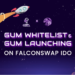 Kiến thức – HƯỚNG DẪN MUA IDO GUM TRÊN FALCONSWAP