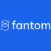 Kiến thức – Fantom (FTM) là gì? Hướng dẫn Staking và Swap Token sang Opera Mainnet