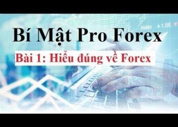 Kiến thức – Bài 1: Hiểu đúng về Forex – Hướng dẫn Đầu tư Forex Cơ Bản đến Nâng Cao cho người mới bắt đầu