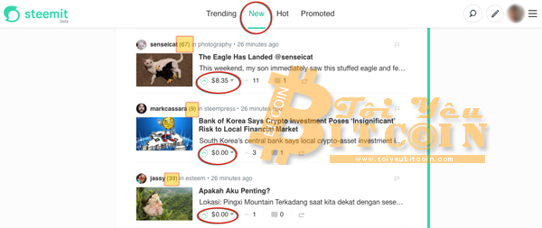 Kiếm tiền với Steemit có dễ không?