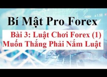 Kiến thức – Bài 3: Luật chơi Forex – Lot là gì? Đòn bẩy Forex là gì? Pip là gì? Point là gì? những kiến thức cơ bạn trong trading forex