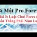 Kiến thức – Bài 3: Luật chơi Forex – Lot là gì? Đòn bẩy Forex là gì? Pip là gì? Point là gì? những kiến thức cơ bạn trong trading forex