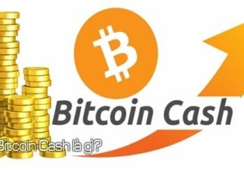 Kiến thức – Bitcoin Cash là gì? Những thông tin và cơ hội đầu tư