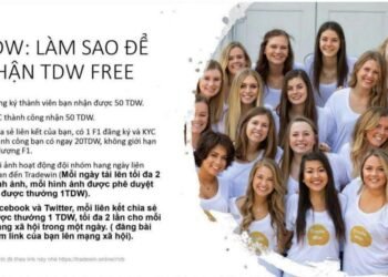Tin tức coin – GIỚI THIỆU VÀ ĐIỀU KHOẢN TRADEWIN.ONLINE