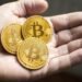 Tin tức coin – Vài bài học tôi đã rút ra sau nhiều năm đầu tư vào tiền điện tử (Phần 1)