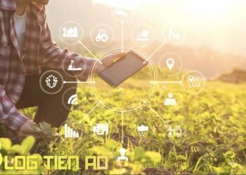 Kiến thức – Yield Farming là gì? Nó đóng vai trò gì trong DeFi? (Nên đọc)