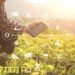 Kiến thức – Yield Farming là gì? Nó đóng vai trò gì trong DeFi? (Nên đọc)