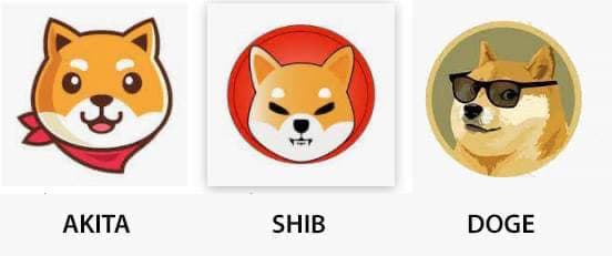1704-coin68-dogecoin-4