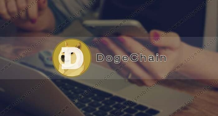 Ví (wallet) – DogeChain là gì? Hướng dẫn cách Tạo và Sử dụng ví Dogecoin trên Dogechain.info từ A – Z