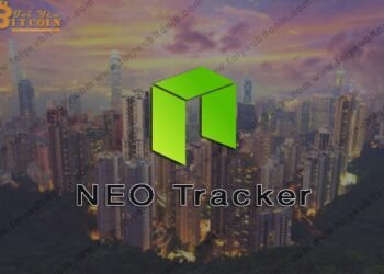 Ví (wallet) – NEO Tracker là gì? Hướng dẫn Tạo và Sử dụng ví NEO coin trên NEO Tracker từ A – Z