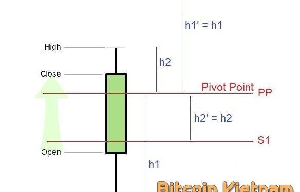 Kiến thức – Điểm xoay Pivot Point là gì? Tổng hợp cách tính điểm xoay trục. Giao dịch kháng cự với điểm xoay Pivot Point