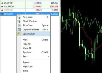 Kiến thức – Thuật ngữ phí qua đêm Swap là gì? Cách tận dụng phí qua đêm swap có lợi cho trader