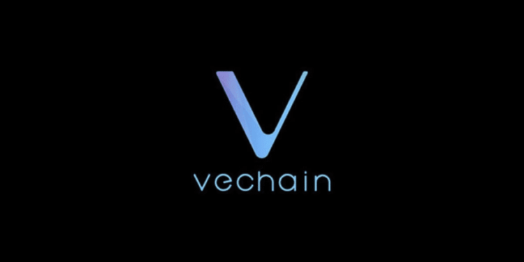 Kiến thức – Vechain là gì? Tất tần tật về mua bán, ví, đầu tư đồng Vechain (VET)