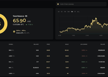 Tin tức coin – Hướng dẫn theo dõi ví Portfolio của “cá mập” bằng Coin98 Portfolio và Etherscan