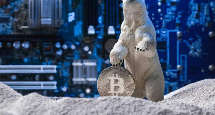 Tin tức coin – Kiếm lợi nhuận trong thời điểm thị trường xuống giá – Sống sót qua mùa Crypto đóng băng!