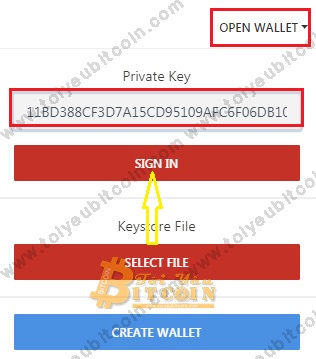 Đăng nhập vào ví TRON Wallet. Ảnh 1