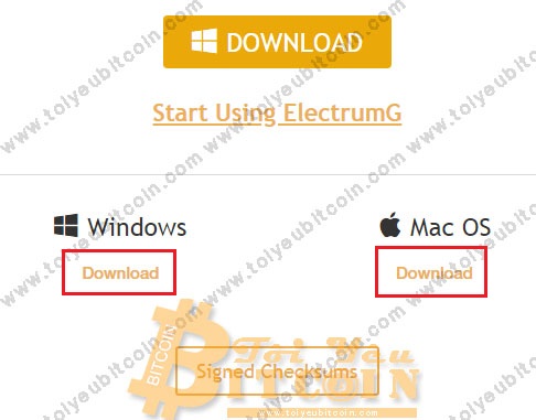 Cài đặt ví ElectrumG. Ảnh 1