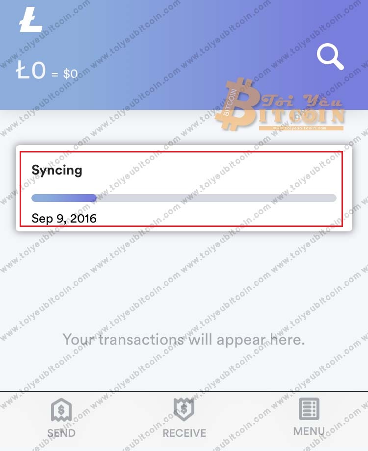 Khôi phục ví Litecoin trên LoafWallet. Ảnh 6