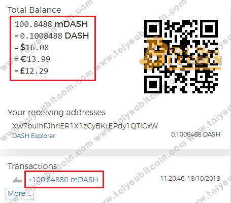 Nạp tiền vào ví MyDashWalle. Ảnh 3