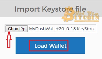 Đăng nhập vào ví MyDashWallet. Ảnh 2