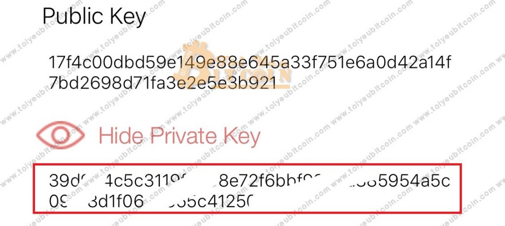 Sao lưu ví NEM coin. Ảnh 6