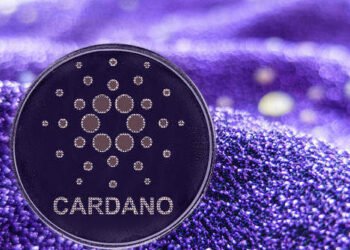 Kiến thức – Cardano coin (ADA) là gì? Những điều cần biết khi đầu tư Cardano coin