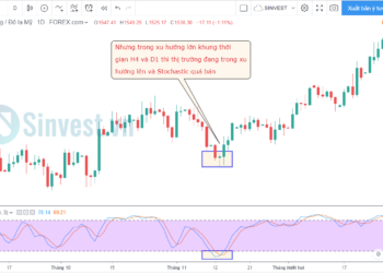Kiến thức – Chỉ báo Stochastic là gì? Sai lầm thường gặp và 6 cách giao dịch hiệu quả với Stochastic