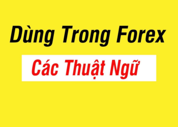 Kiến thức – Những thuật ngữ cơ bản về đầu tư và trading forex, lệnh buy sell, lot và spead là gì? lệnh chờ, điểm vào lệnh, các cặp tiền tệ chính và chéo là gì?