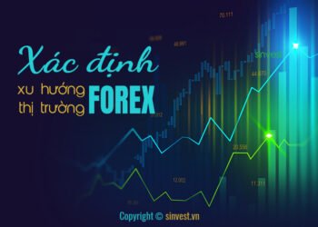 Kiến thức – Xu hướng thị trường là gì? Cách xác định xu hướng hiệu quả theo cấu trúc thị trường để giao dịch Forex hiệu quả