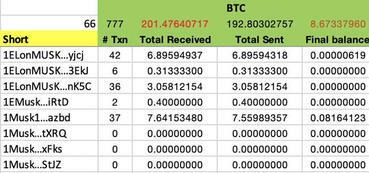 Danh sách các địa chỉ ví Bitcoin chứa tên Elon Musk.