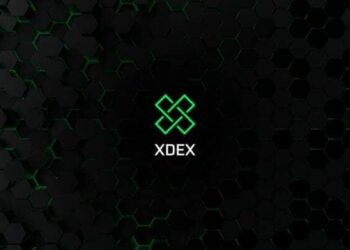 Tin tức coin – Sàn giao dịch Brazil XDEX tuyên bố đóng cửa