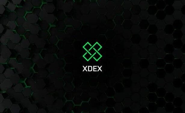 Tin tức coin – Sàn giao dịch Brazil XDEX tuyên bố đóng cửa