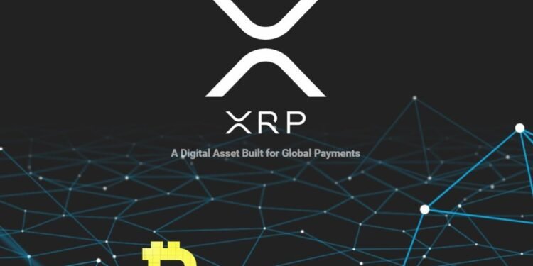 Kiến thức – XRP là gì? Ripple là gì? Toàn tập về kiến thức chuyên sâu
