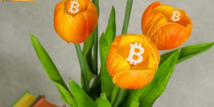 Đào coin – Tại sao Bitcoin chưa bao giờ về 0?
