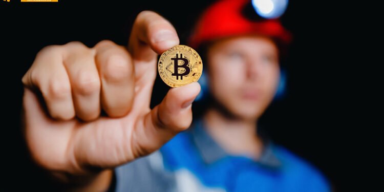 Đào coin – Thợ đào Bitcoin sẽ sống sao vào năm 2019 nếu giá tiếp tục giảm xuống thấp hơn?