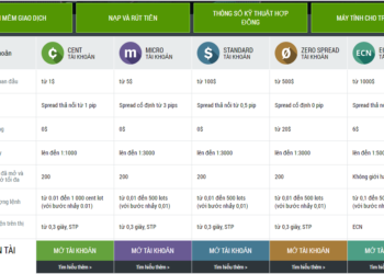 Kiến thức – Các loại tài khoản forex. Trader mới nên chọn tài khoản nào để giao dịch Forex hiệu quả nhất?