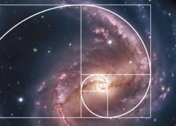 Kiến thức – Chỉ báo Fibonacci là gì? Cách sử dụng mức Fibonacci để chốt lời, chặn lỗ trong giao dịch forex