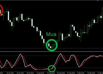 Kiến thức – Stochastic, Chỉ Báo Stochastic là gì? Cách giao dịch với chỉ báo Stochastic