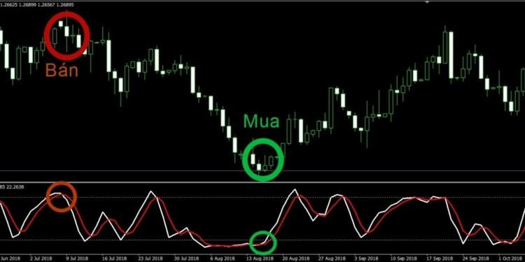 Kiến thức – Stochastic, Chỉ Báo Stochastic là gì? Cách giao dịch với chỉ báo Stochastic