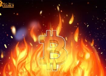 Đào coin – Giá Bitcoin rớt thảm dưới 48.000 USD, hơn 260 tỷ USD vốn hoá “bốc hơi”
