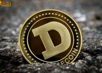 Đào coin – “Hãy cẩn thận khi đầu tư Dogecoin”