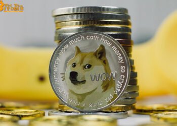 Đào coin – Người chơi lãi bao nhiêu nếu chi 1.000 USD mua Dogecoin đầu năm nay?
